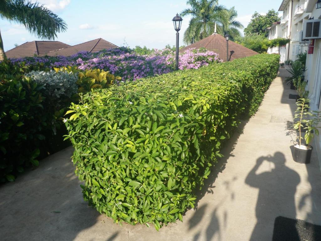Hotel Relax Resort Montego Bay Exterior foto